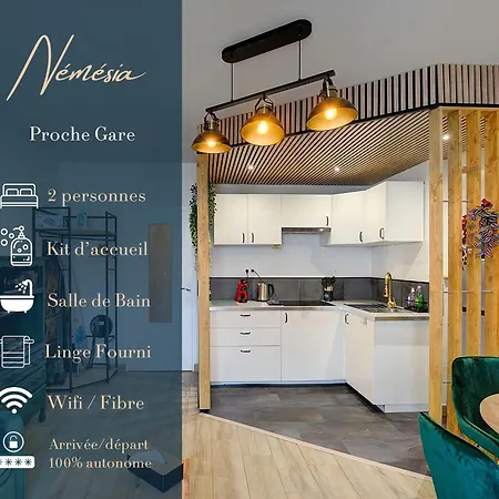 Le Nemesia - Proche Gare De Apartment Tours